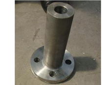 BS Flange