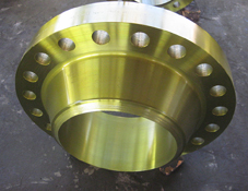 DIN Flange